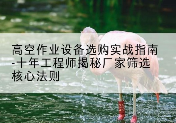 朝阳剪叉式升降机厂家-高空作业设备选购实战指南-十年工程师揭秘厂家筛选核心法则