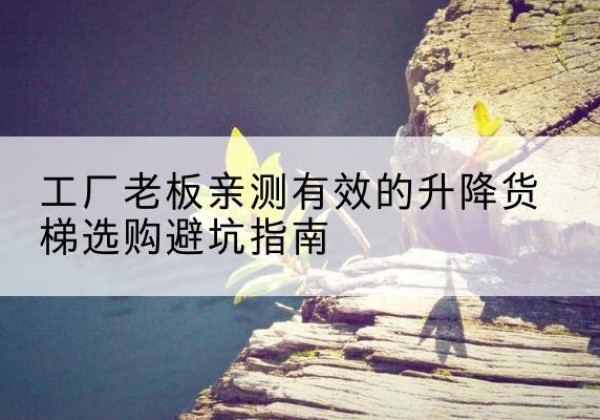 朝阳升降货梯怎么选-工厂老板亲测有效的升降货梯选购避坑指南